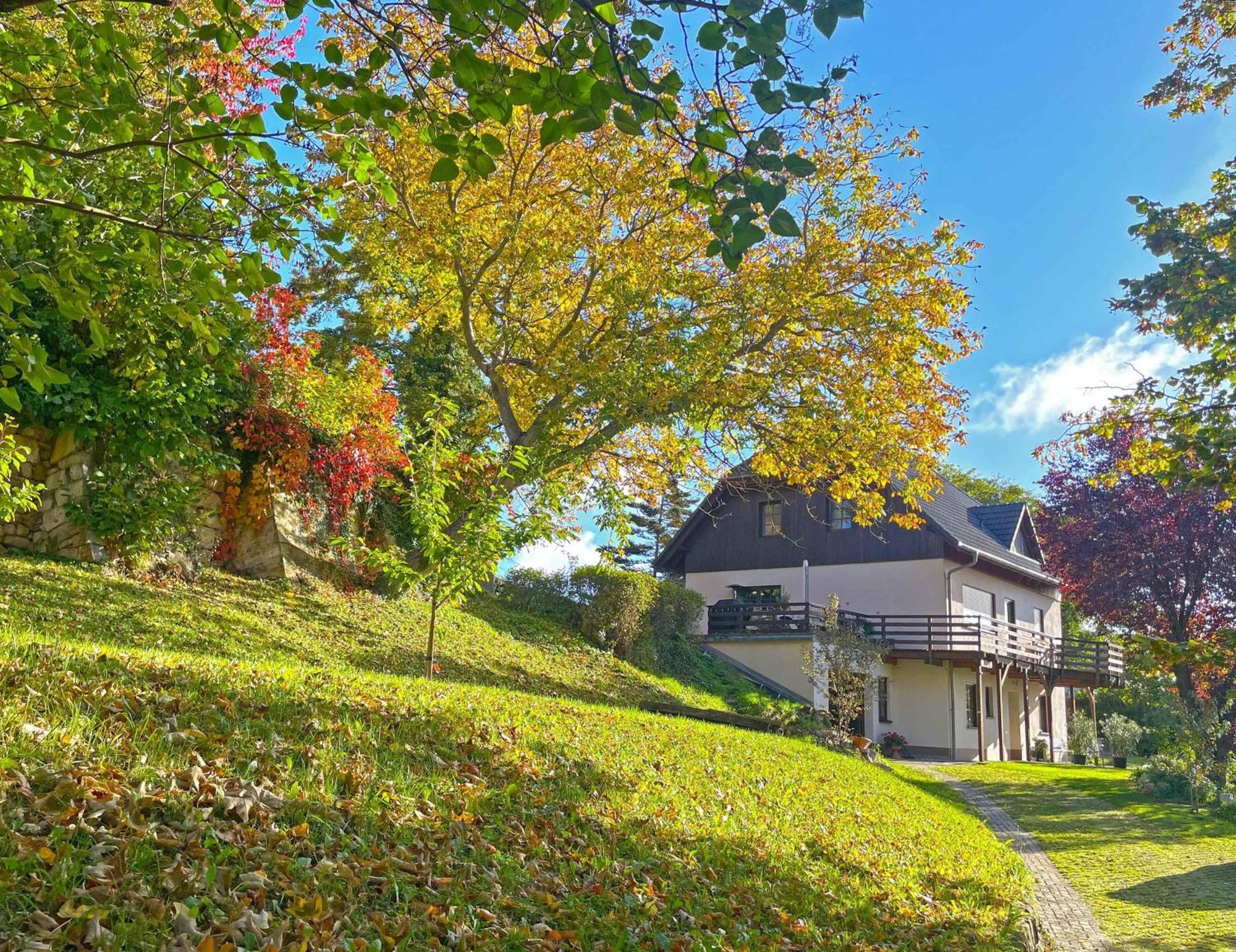 Ferienwohnung-Am-Suedhang Muglitztal Exterior photo